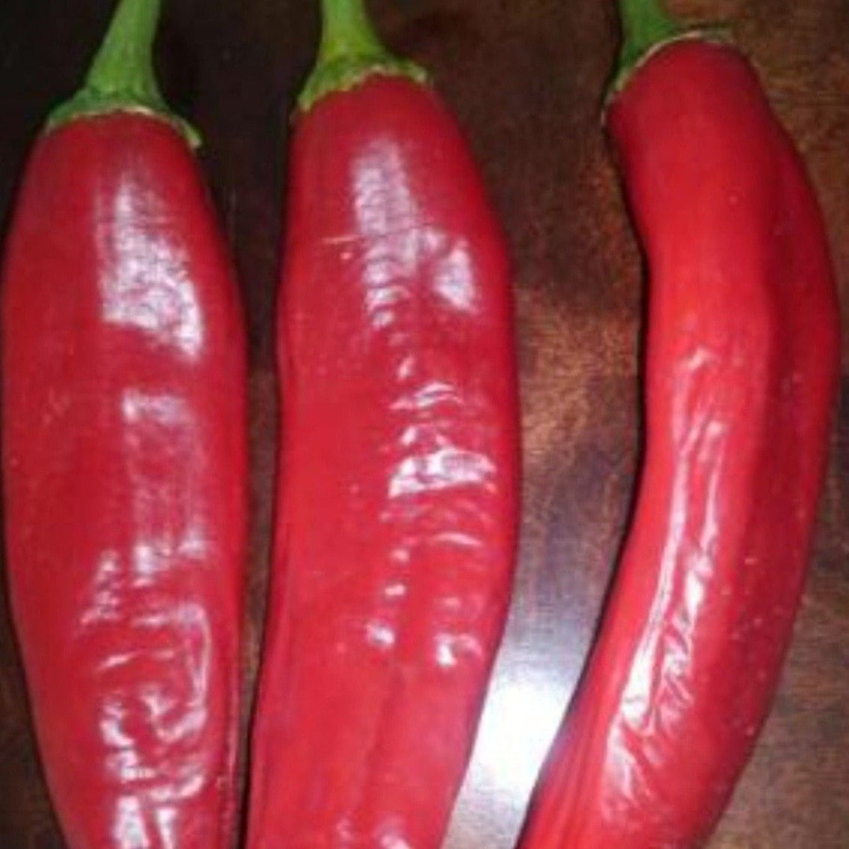 Hatch Cert. Joe E. Parker Chile Hot Pepper Seeds by Papaws Garden Supply