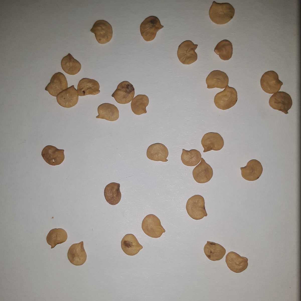 Hatch Cert. Sandia Chile Hot Pepper Seeds, image 4 of 7
