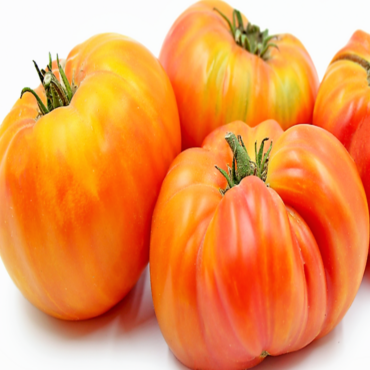 Hillbilly West Virginia Heirloom Tomato Seeds by Papaws Garden Supply