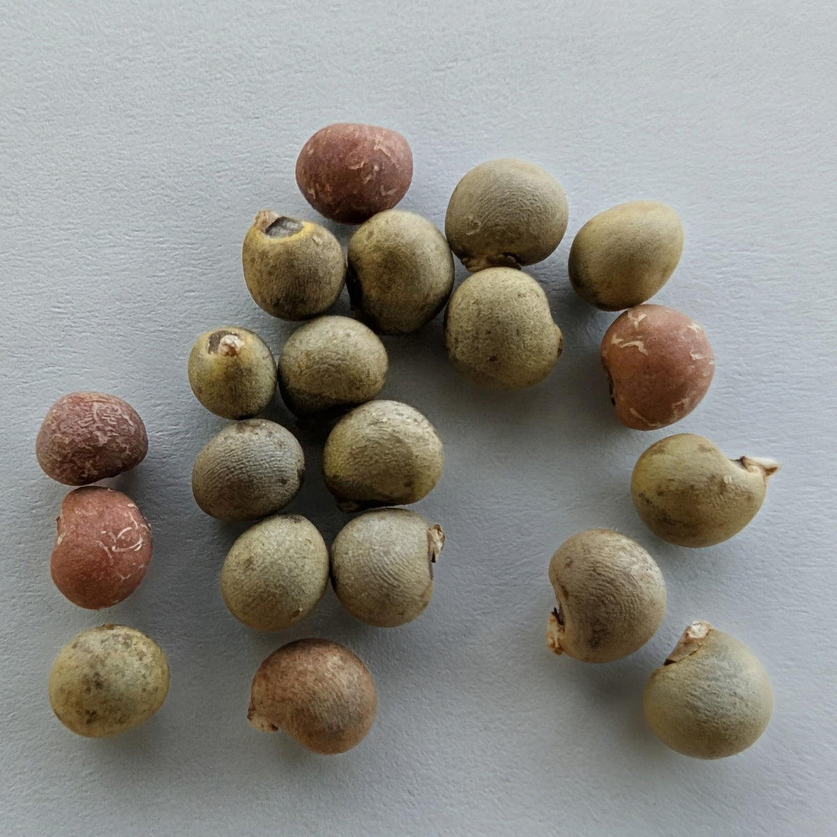 Okra, Hill Country Red Seeds, image 2 of 5