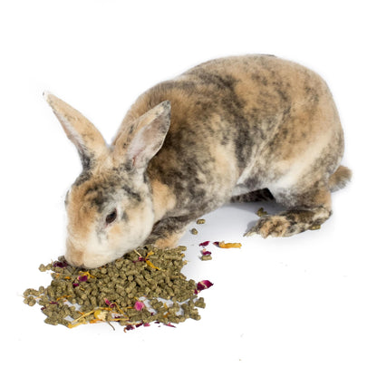 BunLuv Herbal Rabbit Feed from Dahlia Pets