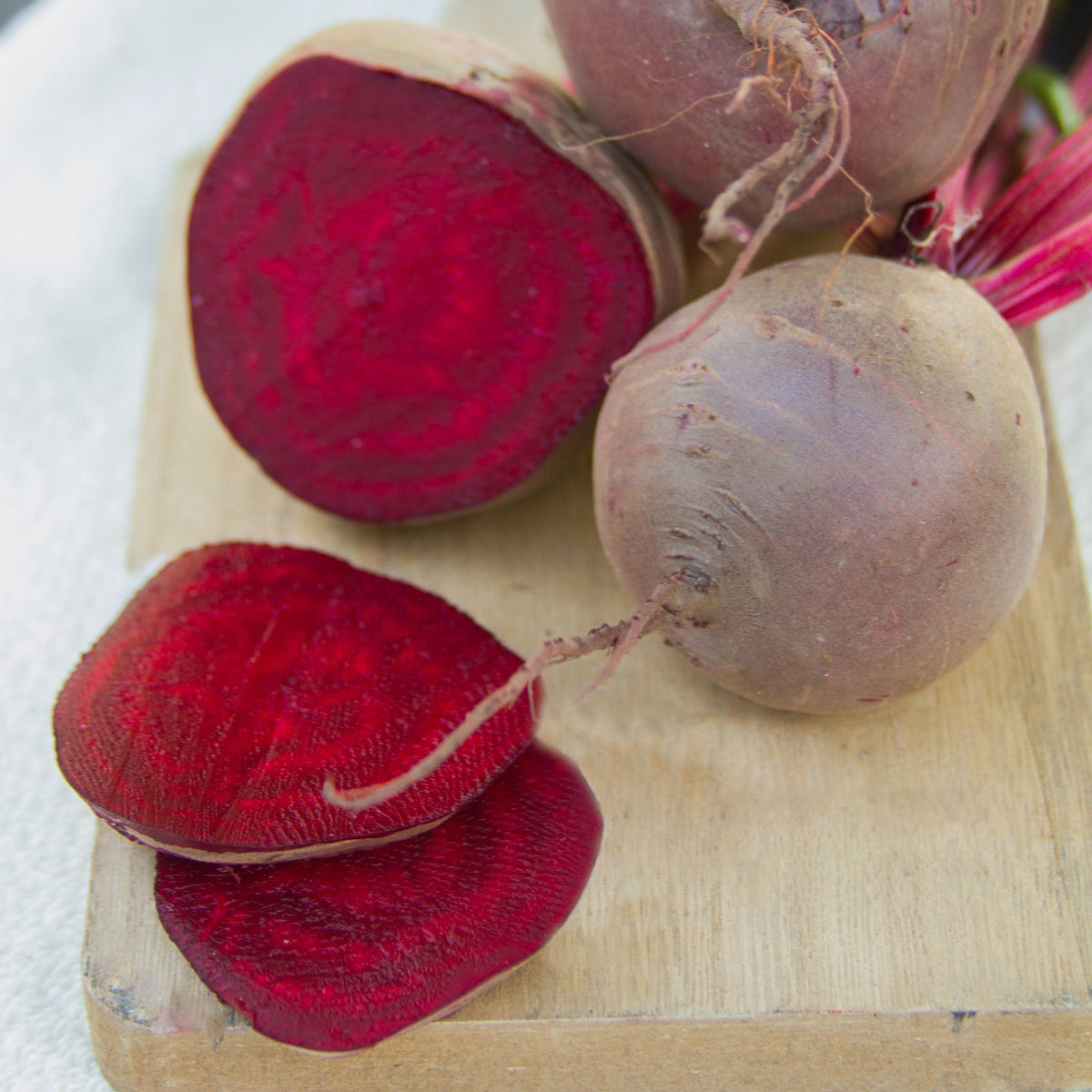Early Wonder Tall Top Beet by MIgardener