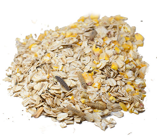 Cold Winter Nights - Warm Oatmeal Treat for Extra Calories from Dahlia Pets