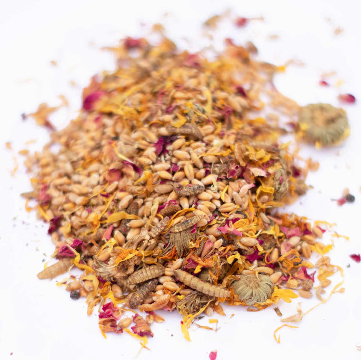 PowerHen (TM) High Protein Treat With Mealworms, Black Soldier Fly Larvae, & Herbs For Backyard Chickens, Chicken Treats from Dahlia Pets