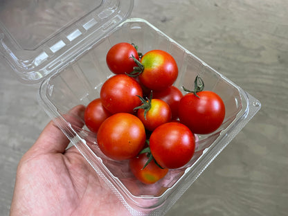 Cherry Tomato (S) | Suzuki Farm | 0.5 lb, image 3 of 3