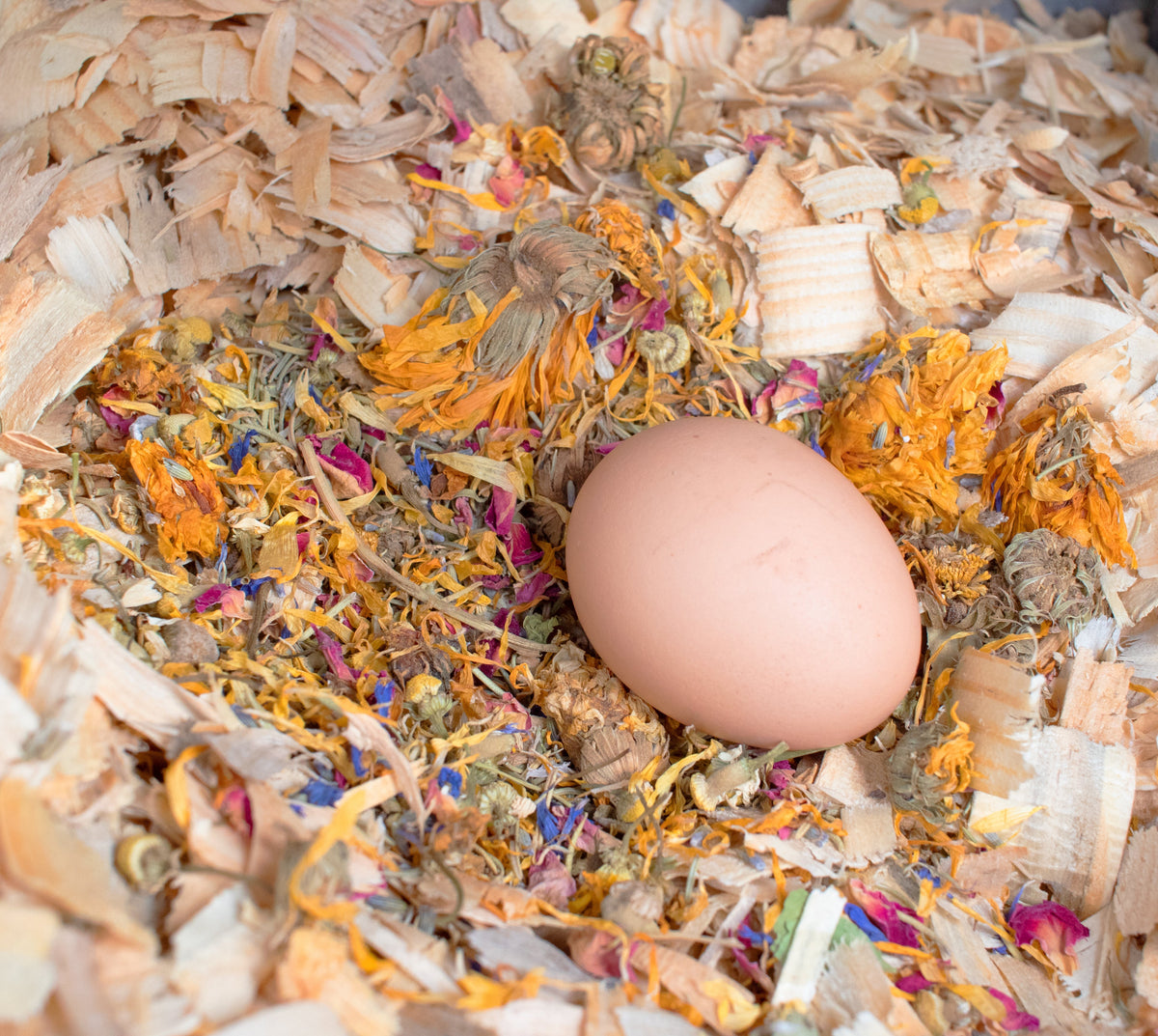 Best Eggs Ever! Nesting Herbs (Chamomile, Roses, Lavender, Cornflowers, & Calendula) For Pet Chickens, Animals & Pet Supplies from Dahlia Pets