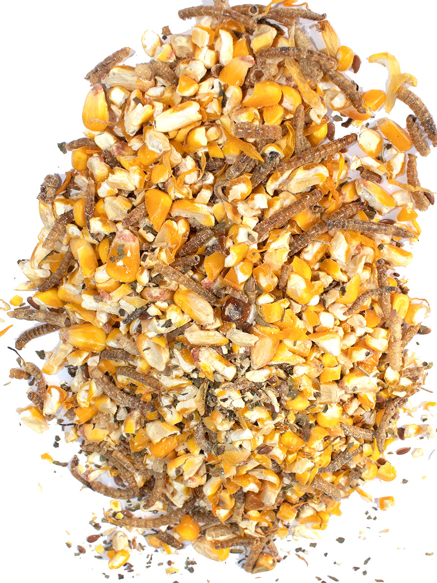 Poultry Queen Mealworm, Premium Corn, Flax Seeds, & Herb Treat For Pet Chickens from Dahlia Pets