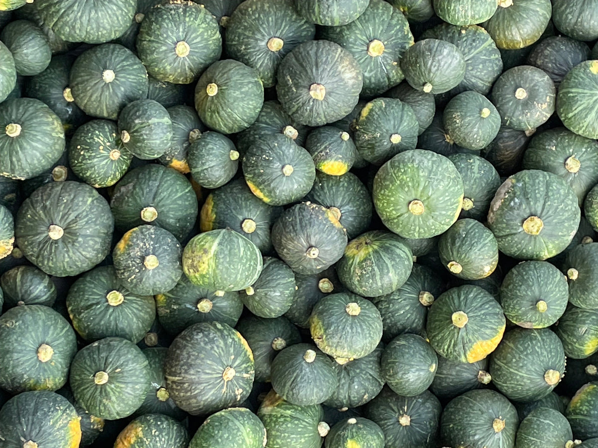KABOCHA Squash | Suzuki Farm | 1 pc, image 4 of 4