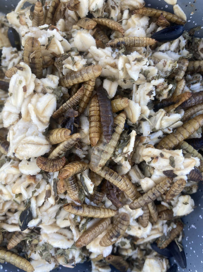 Cold Winter Nights - Warm Oatmeal Treat for Extra Calories from Dahlia Pets