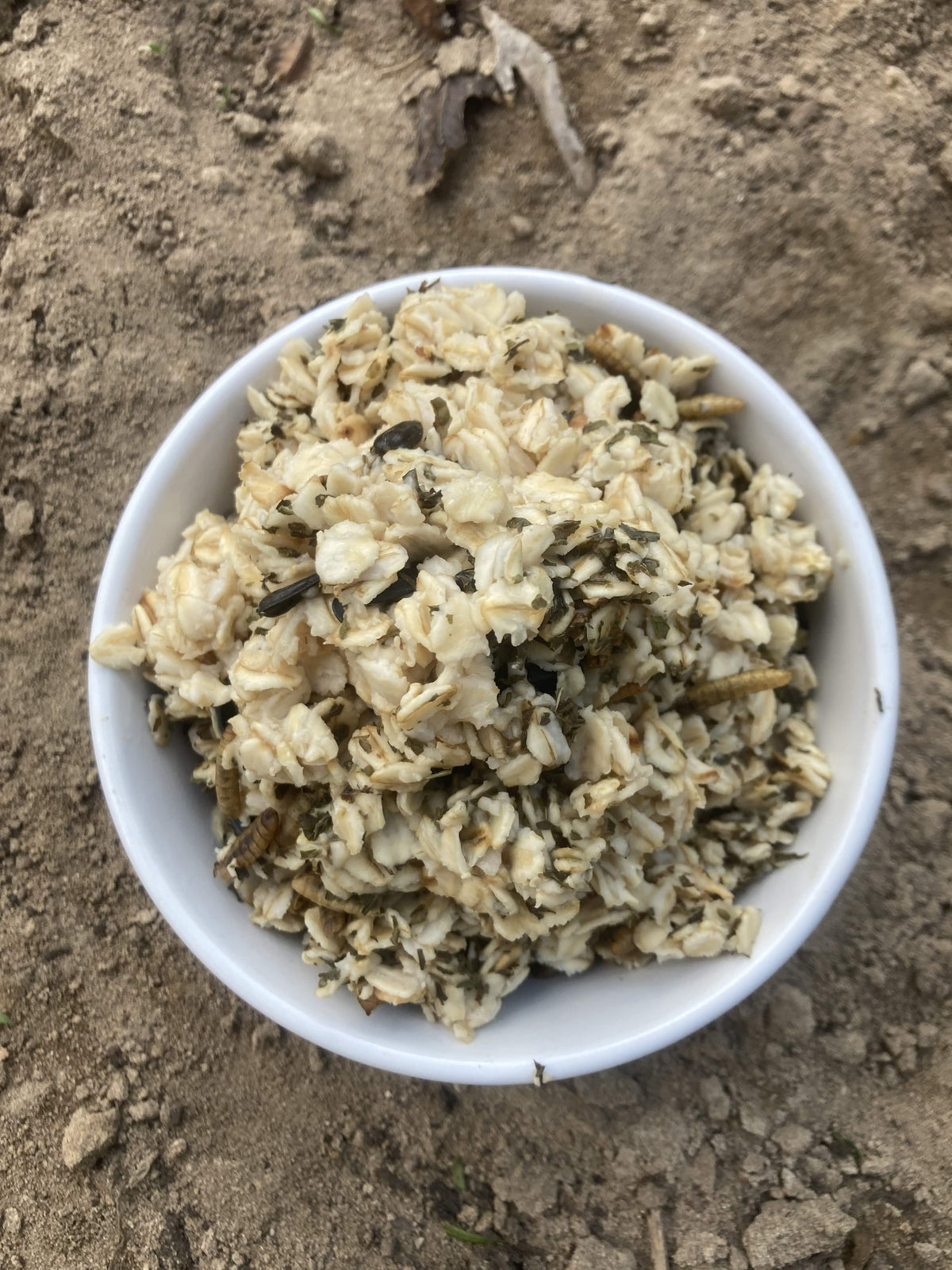 Cold Winter Nights - Warm Oatmeal Treat for Extra Calories from Dahlia Pets