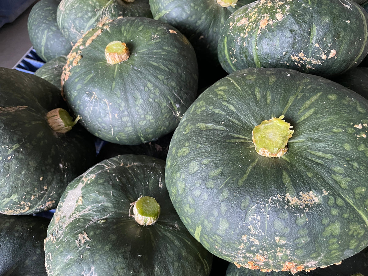 KABOCHA Squash | Suzuki Farm | 1 pc, image 2 of 4