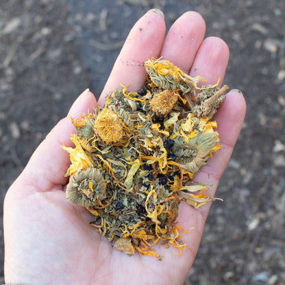 StrongHen Herbs For Backyard Chickens, Coops, & Nesting Boxes from Dahlia Pets