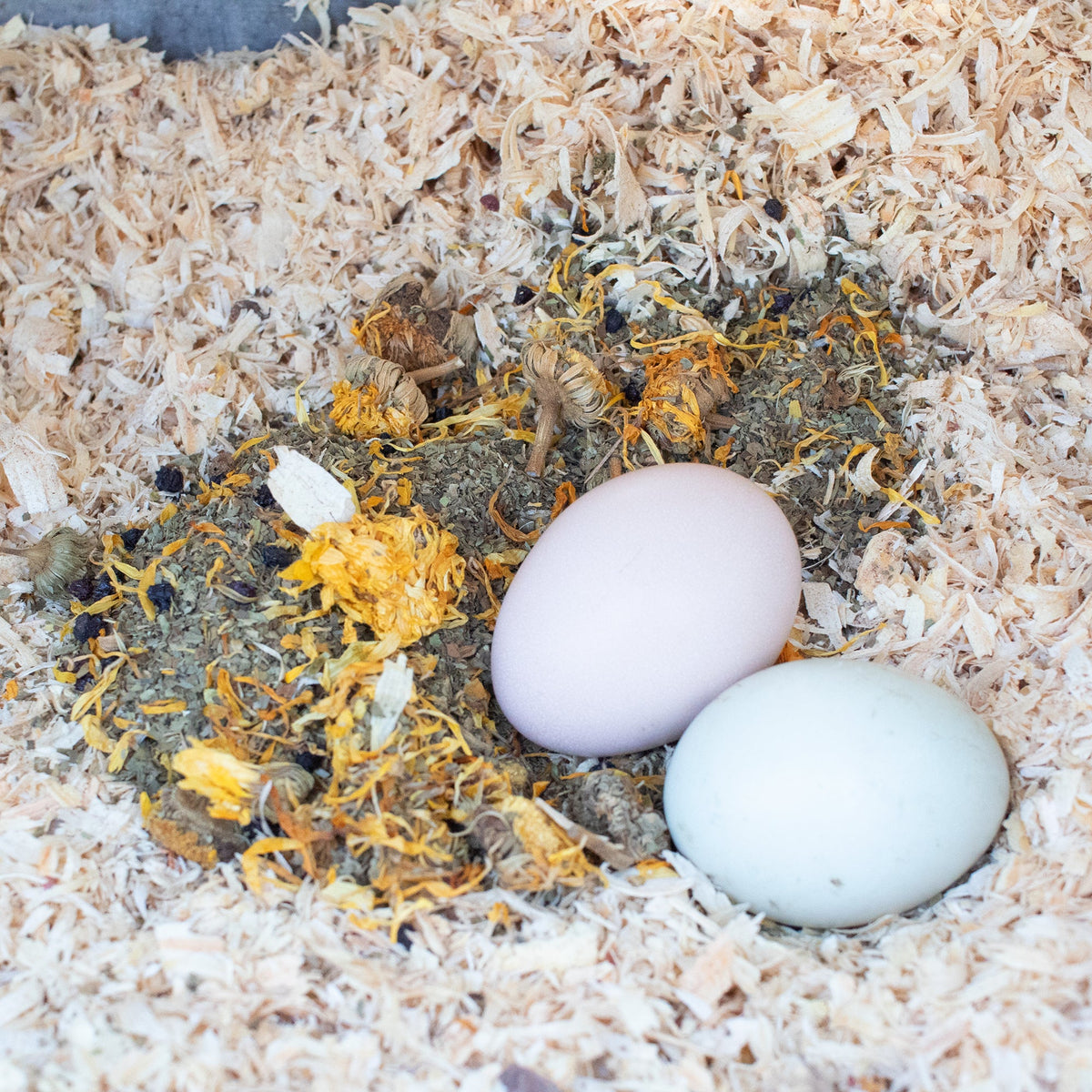 StrongHen Herbs For Backyard Chickens, Coops, & Nesting Boxes from Dahlia Pets