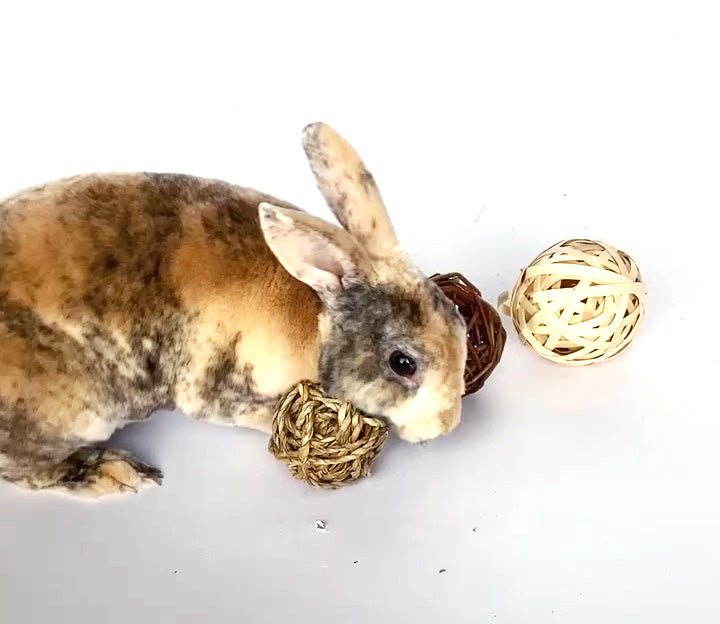 BunLuv Sea Grass Ball Chew Toy For Rabbits from Dahlia Pets