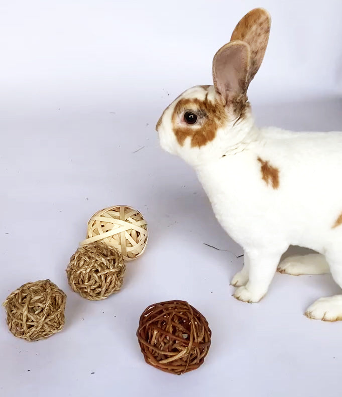 BunLuv Sea Grass Ball Chew Toy For Rabbits from Dahlia Pets
