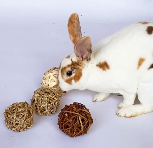 BunLuv Sea Grass Ball Chew Toy For Rabbits from Dahlia Pets