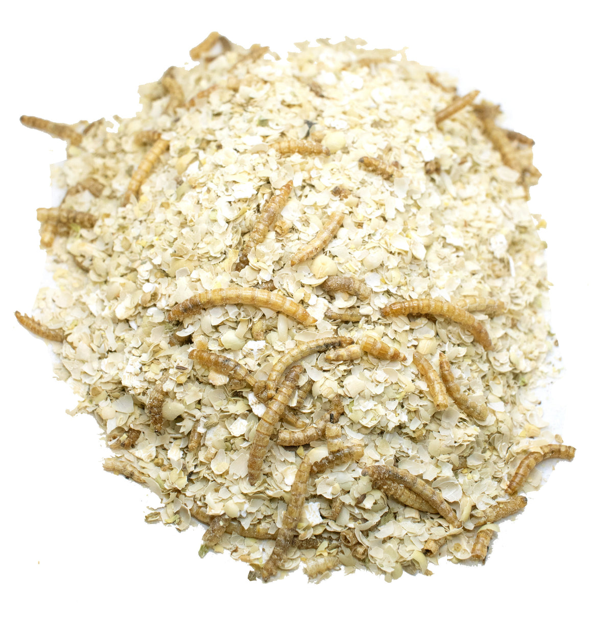 Luv U Much Mealworm & BloomGrubs Treat: Just Mix With Water For A Fun Treat! from Dahlia Pets