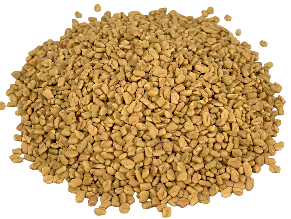 Fenugreek Seed, Whole, image 2 of 4