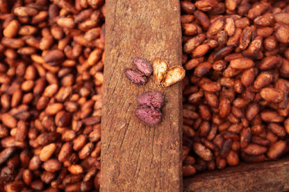Roasted Cacao Nibs