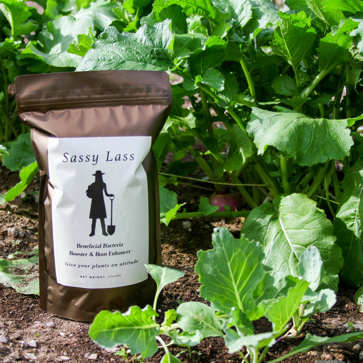 Sassy Lass - Beneficial Soil Microbe Booster - 2lb by MIgardener