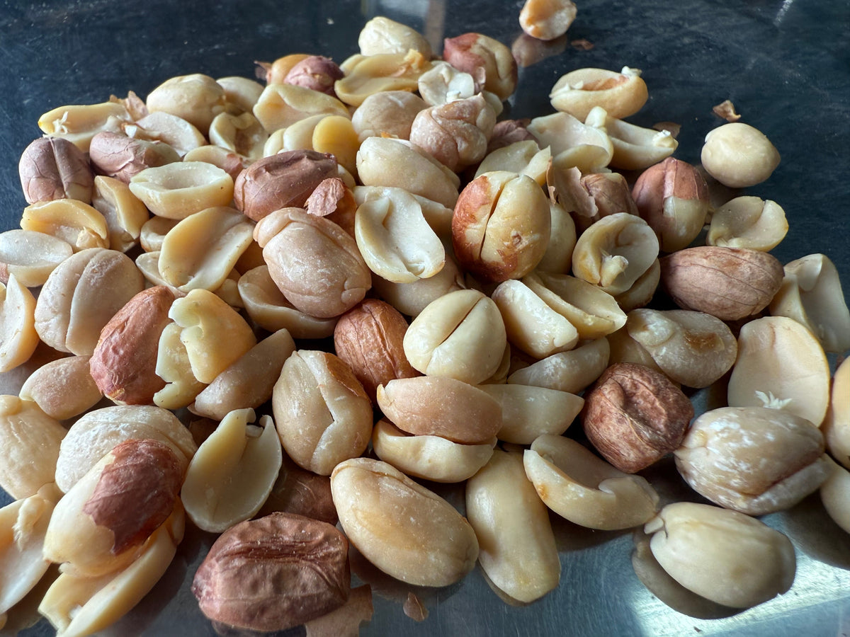 Gut Nuts - Fermented Peanuts