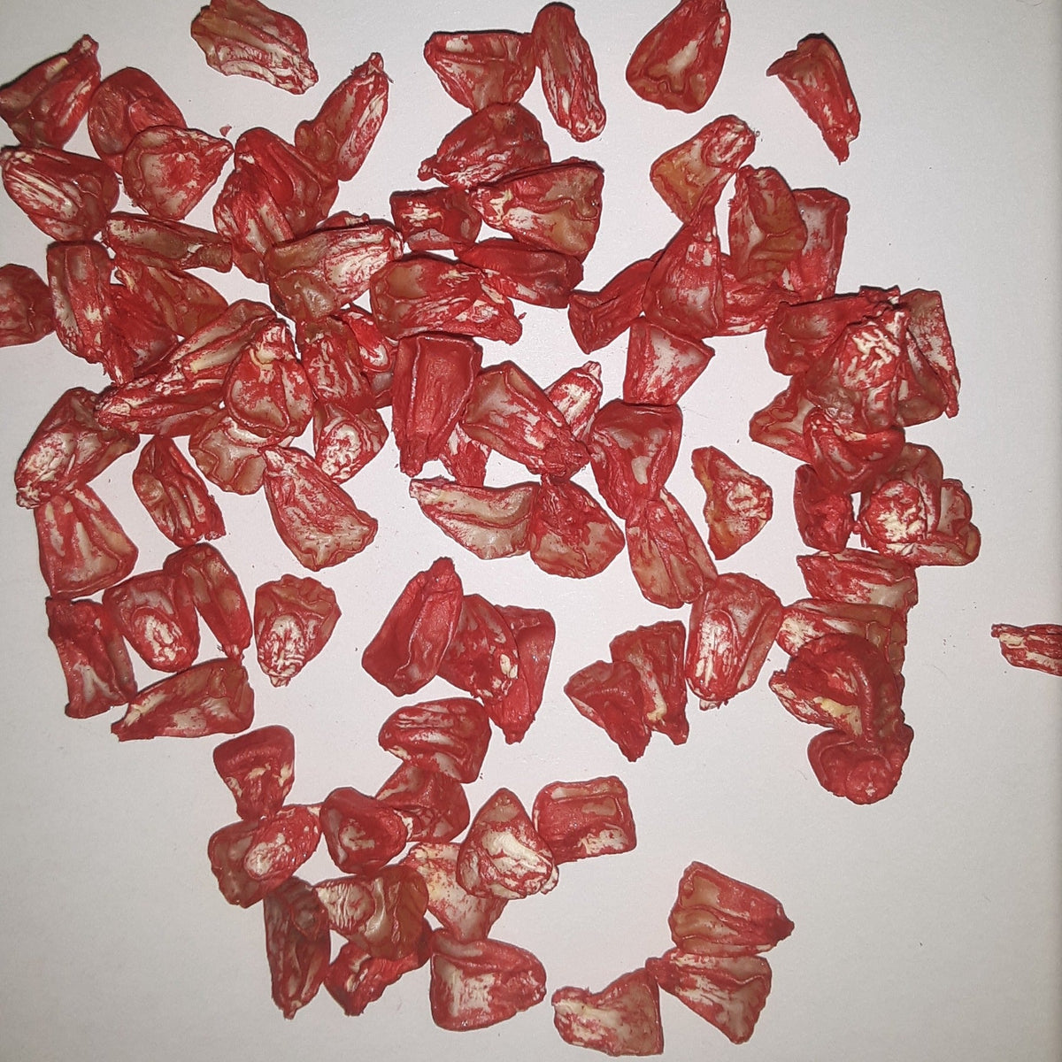Incredible Yellow Sweet Corn Treated Seeds, image 2 of 8