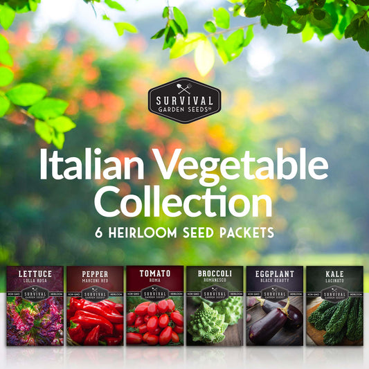 Italian Seed Collection – Classic Heirloom Vegetables for Authentic Flavor and Productive Home Gardens