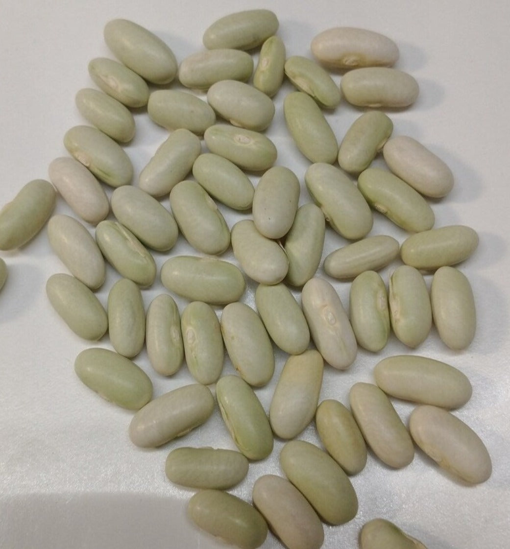 Jade Bush Green Bean Seeds, image 2 of 6