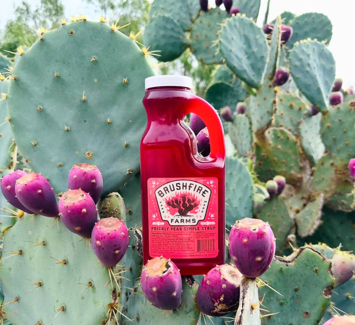 Bulk Prickly Pear Simple Syrup