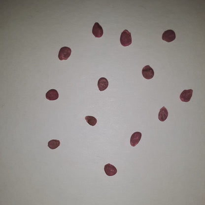 Juliet Treated Hybrid Paste Tomato Seeds