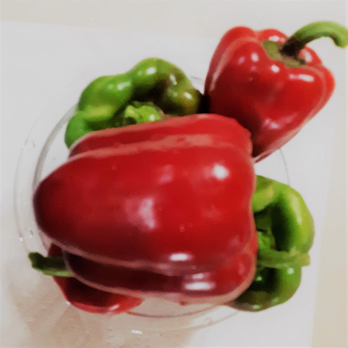 Jupiter Sweet Bell Pepper Seeds by Papaws Garden Supply