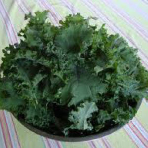KALE Seeds, Premier