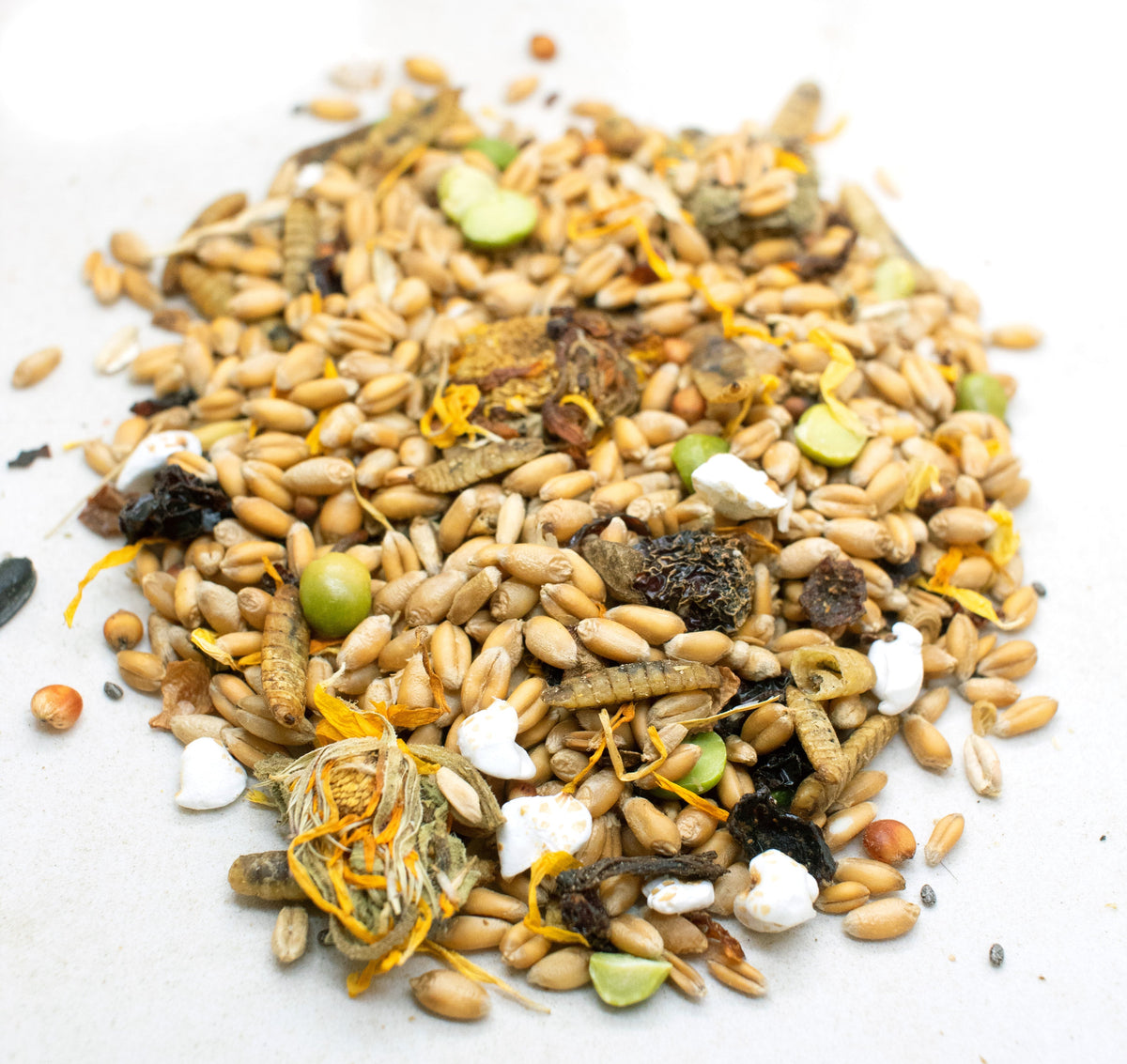 Lucky Chicken Textured Treat To Encourage Foraging from Dahlia Pets
