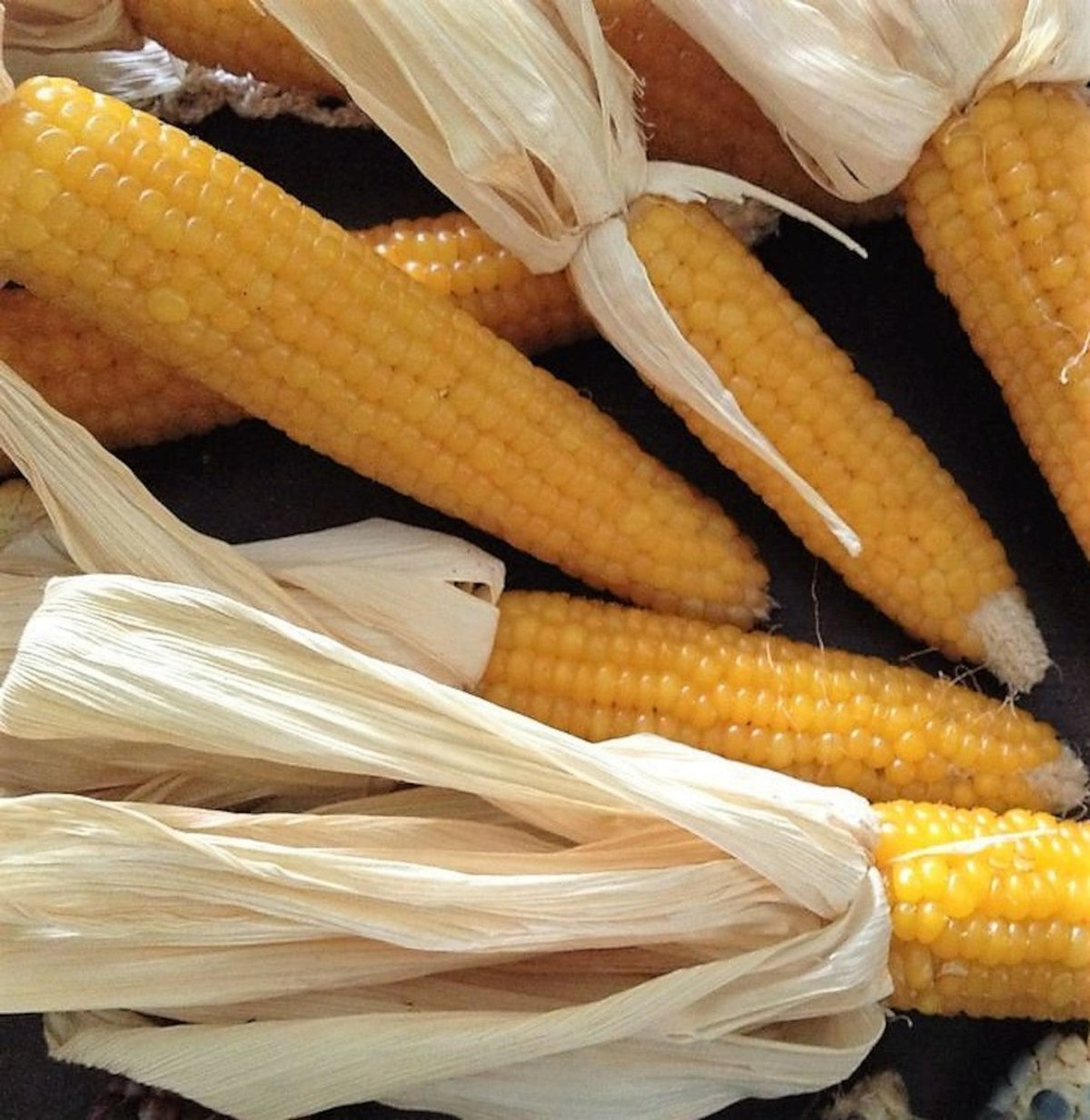 Lady Fingers Heirloom Popcorn Untreated Seeds by Papaws Garden Supply
