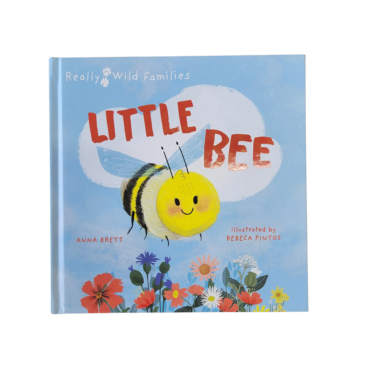 Little Bee Kids Book by Foxhound Bee Company