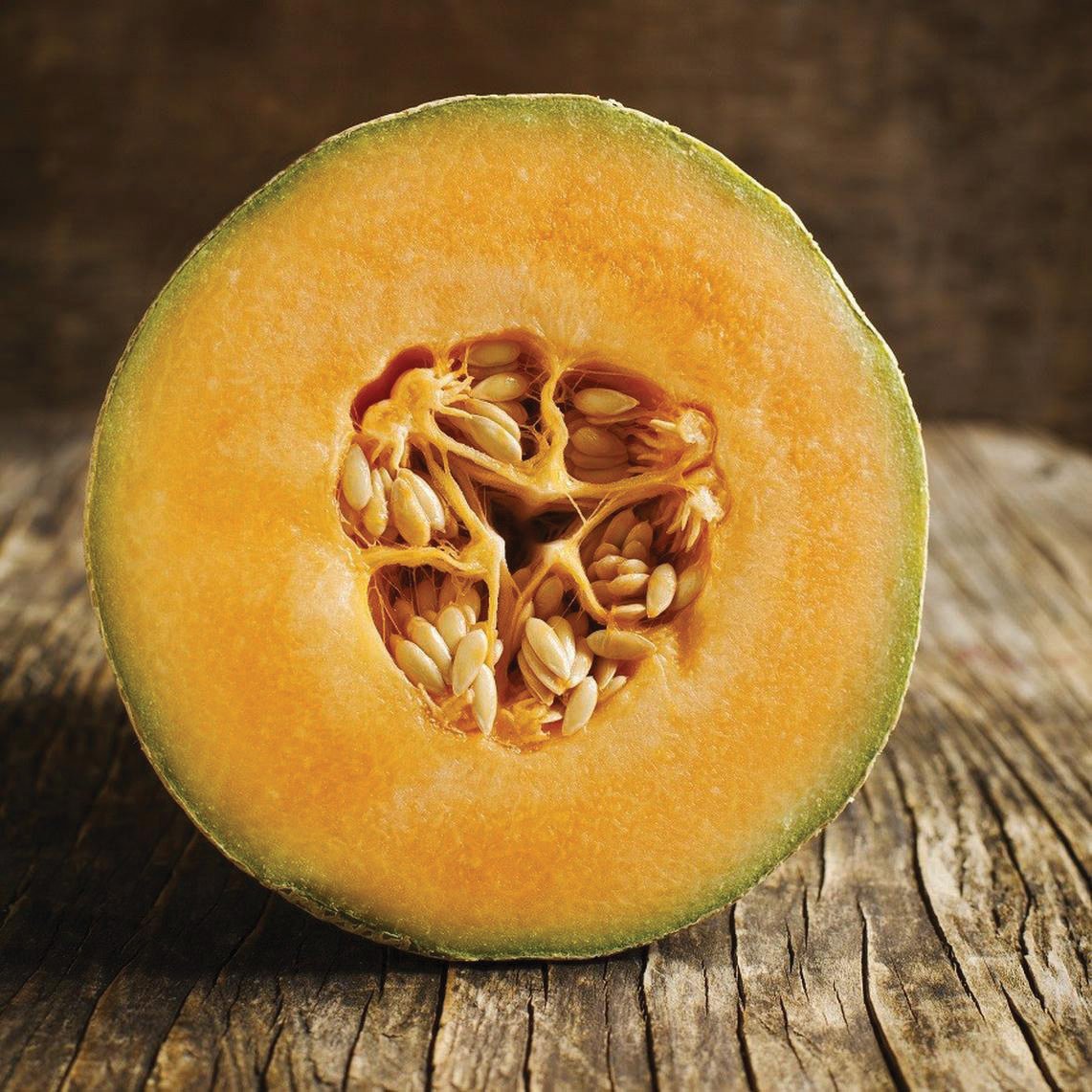 Honey Rock Melon by MIgardener