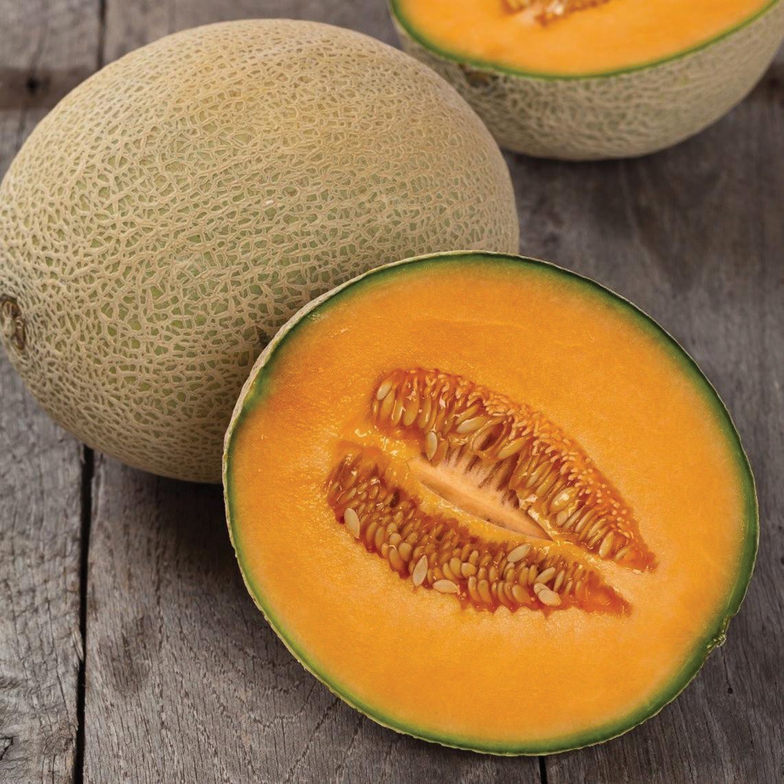 Hales Best Jumbo Cantaloupe Melon by MIgardener