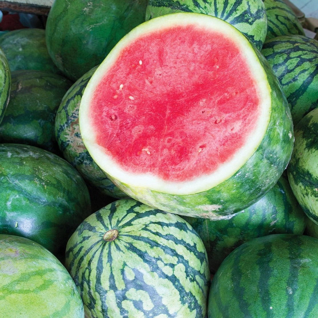 Dixie Queen Watermelon by MIgardener