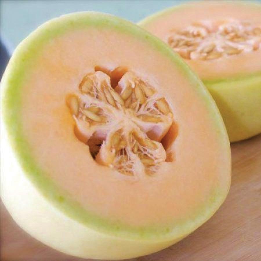 Orange Flesh Honeydew Melon by MIgardener