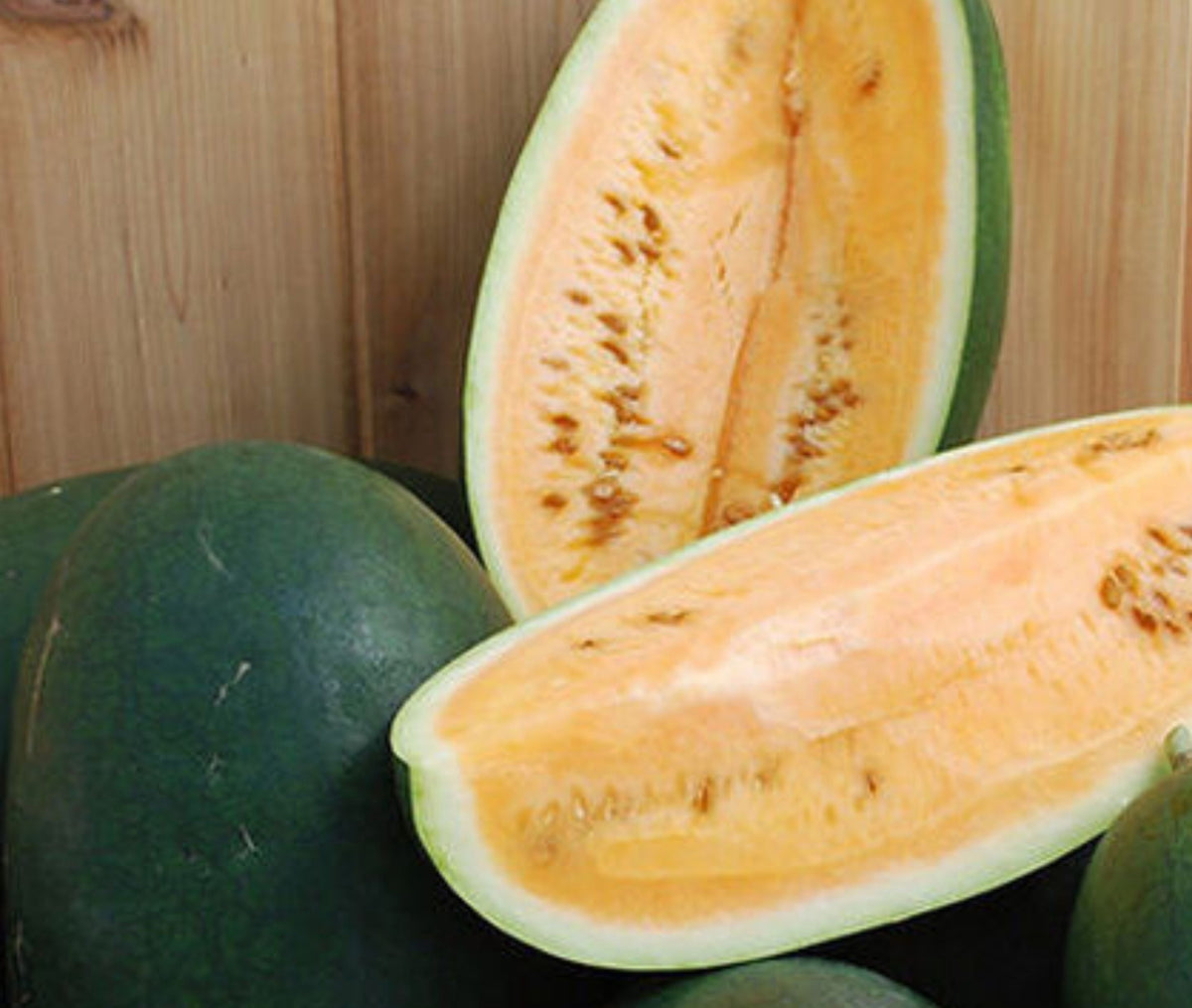 Sweet Siberian Watermelon by MIgardener