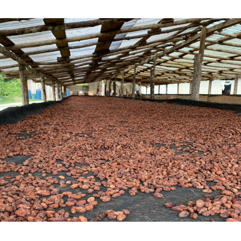 70% Belize Dark Chocolate, Confection from MaverickChocolate