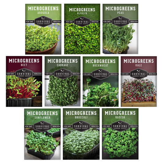 10-Variety Heirloom Microgreen Seed Pack – Non-GMO Seeds for Indoor Growing, Sprouting & Year-Round Nutrition