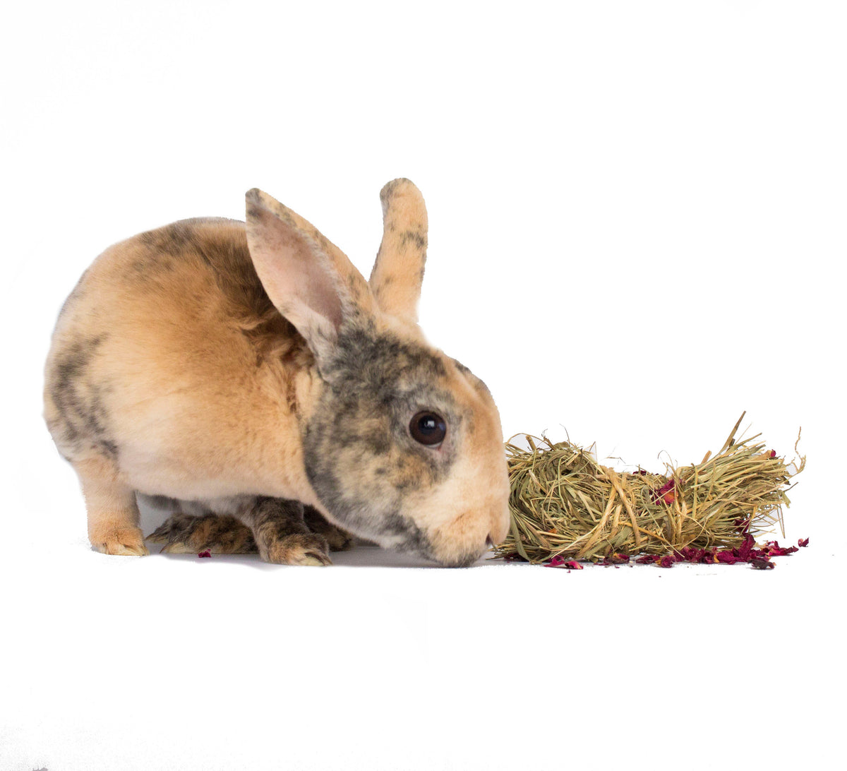 Mini Bale With Rose Petals For Rabbits, Guinea Pigs, Chinchillas, and Hamsters from Dahlia Pets