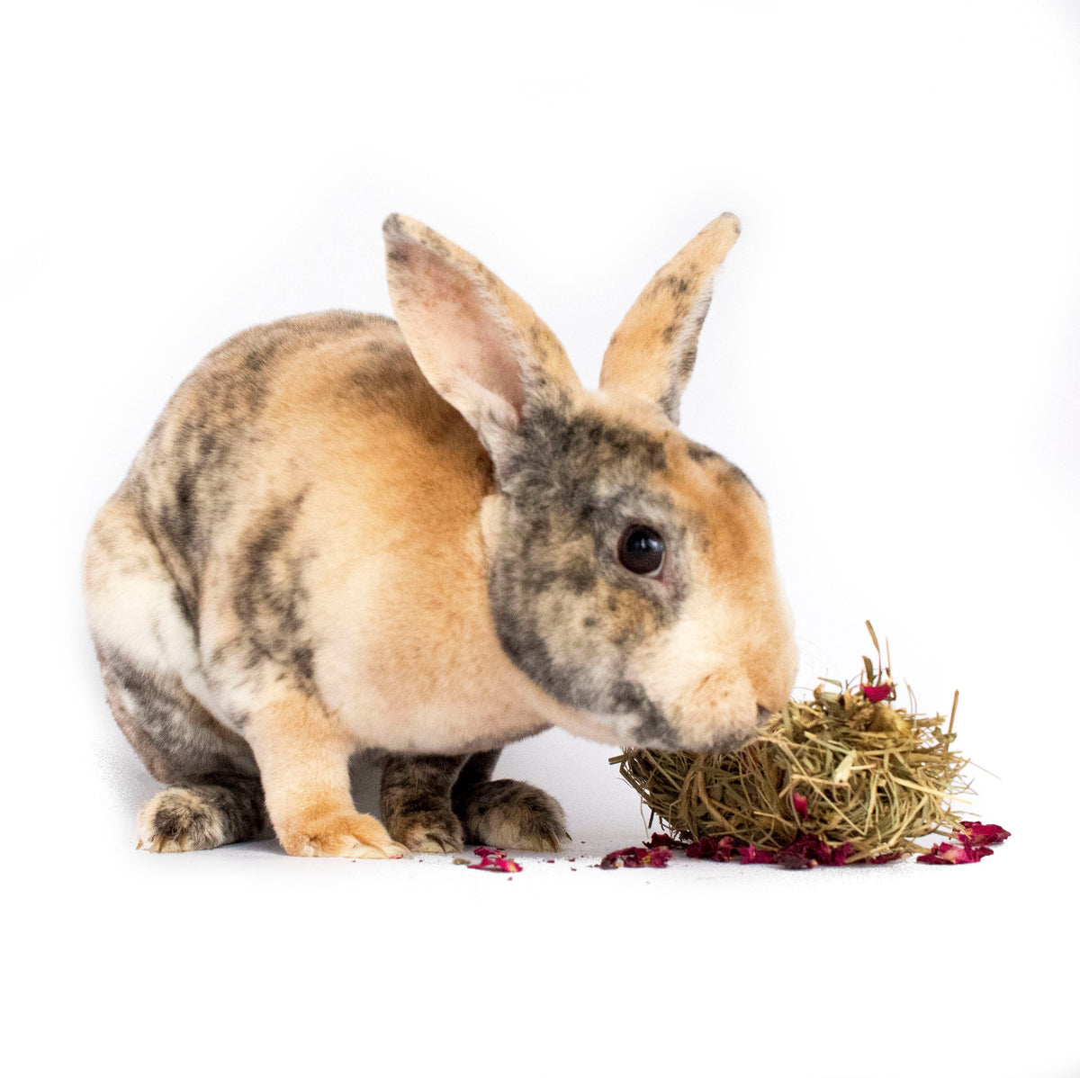 Mini Bale With Rose Petals For Rabbits, Guinea Pigs, Chinchillas, and Hamsters from Dahlia Pets