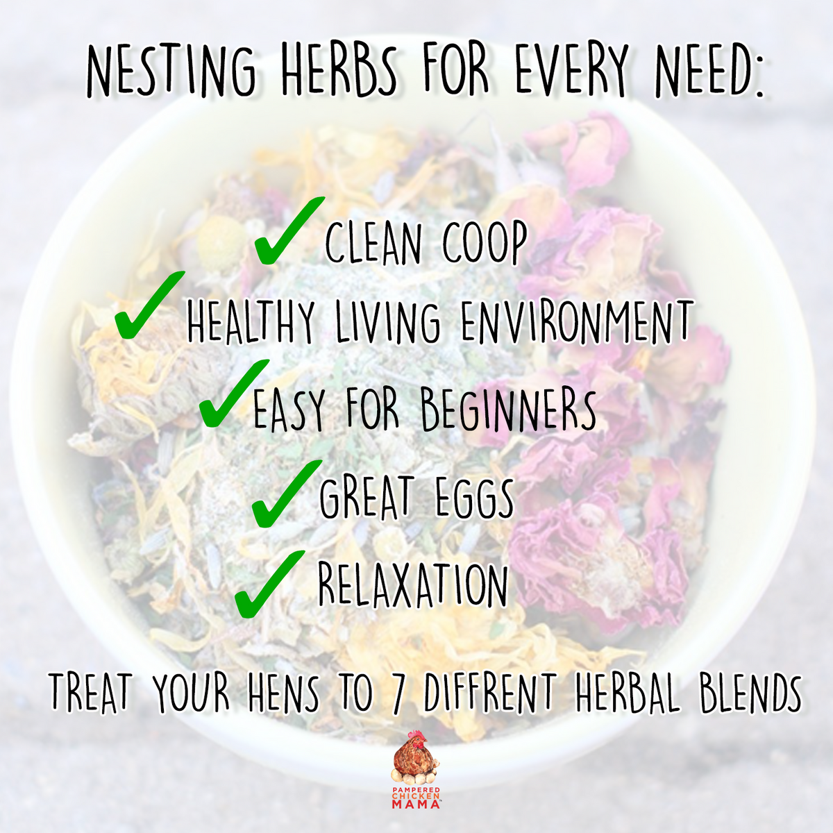 Nesting Herb Starter Bundle-- 7 Different Nesting & Coop Herbs from Dahlia Pets