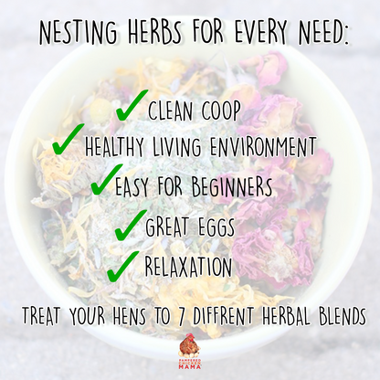 Nesting Herb Starter Bundle-- 7 Different Nesting & Coop Herbs from Dahlia Pets