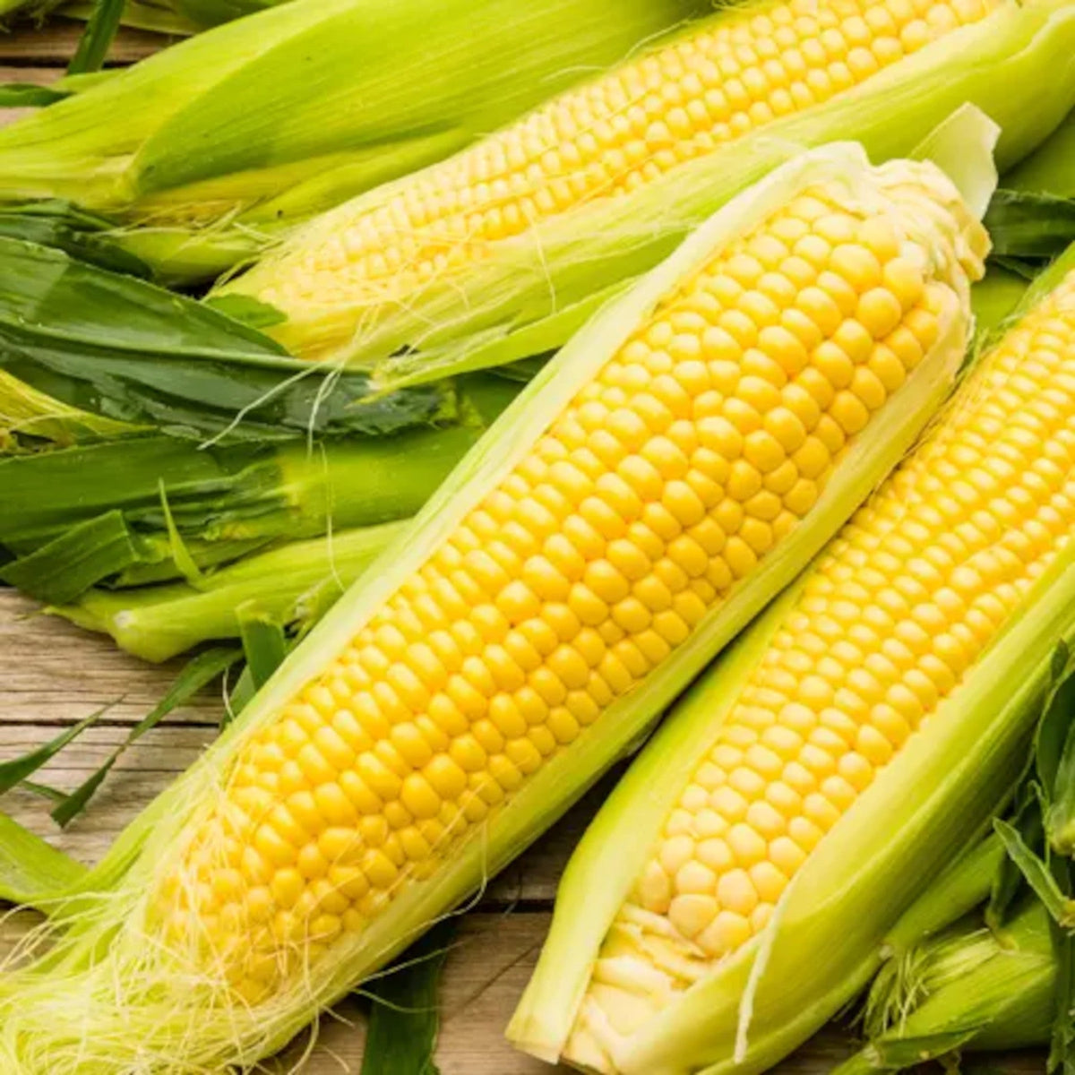 NK 199 Treated Sweet Corn Seed by Papaws Garden Supply