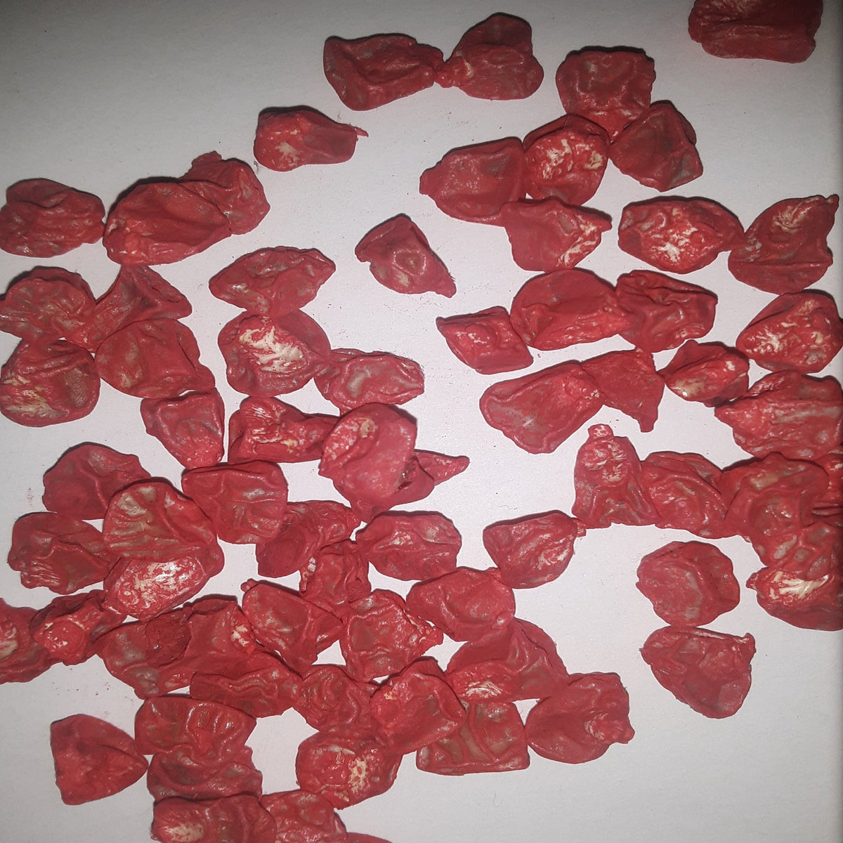 NK 199 Treated Sweet Corn Seed, image 2 of 8