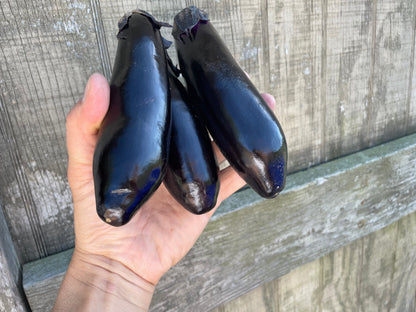 NASU Eggplant | Suzuki Farm | 3 pc