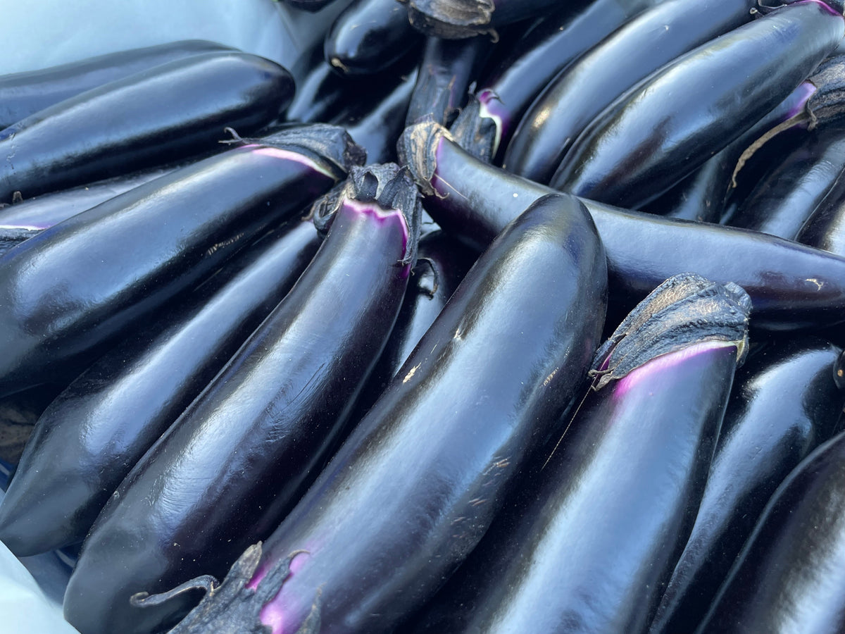 NASU Eggplant | Suzuki Farm | 3 pc